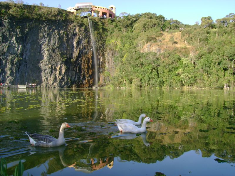 O-verde-do-Parque-Tanguá-é-apenas-uma-demonstração-das-paisagens-naturais-encontradas-em-Curitiba